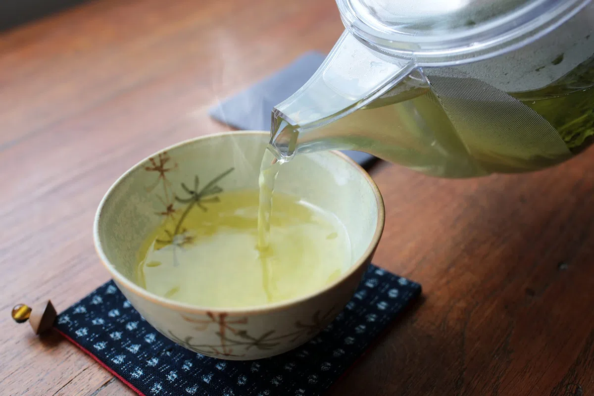 Unzerbrechliche, transparente Kyusu mit Noguchi Kumataro Teegarten-Logo, 520 ml, große Kapazität, japanische Teekanne mit feinmaschigem Edelstahl-Filter, hergestellt in Japan, spülmaschinenfest